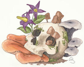 Watercolour momento mori