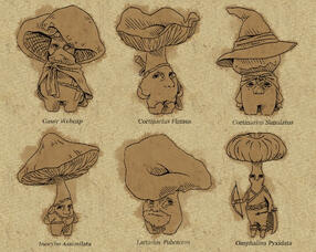 Mushroom friends